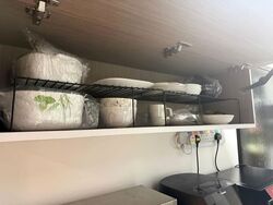 Sycamore Tree (D15), Apartment #539544651